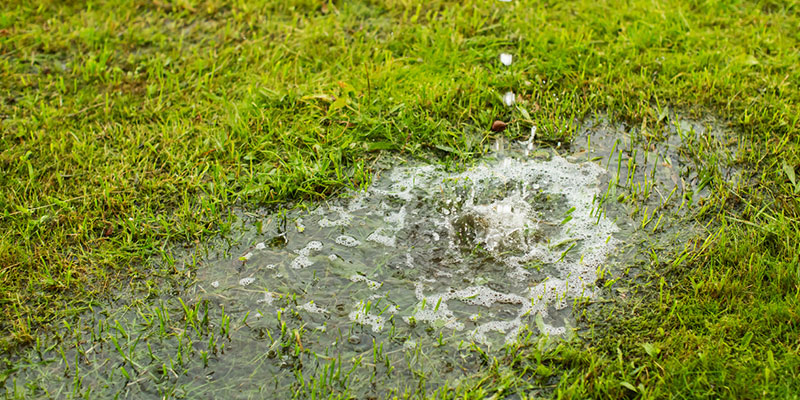 Signs That You Need Septic Drain Field Cleaning