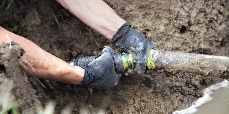 Important Advice From Your Local Septic Company